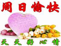 贵州悦博科技有限公司