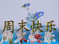 贵州悦博科技有限公司
