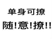 贵州悦博科技有限公司