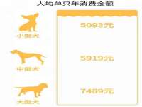 贵州悦博科技有限公司
