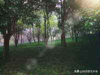 贵州悦博科技有限公司