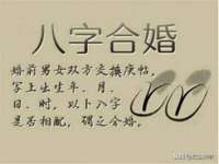 贵州悦博科技有限公司