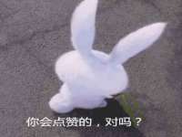 贵州悦博科技有限公司