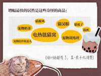 贵州悦博科技有限公司