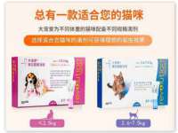 贵州悦博科技有限公司