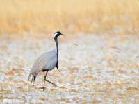 贵州悦博科技有限公司