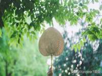 贵州悦博科技有限公司