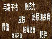 贵州悦博科技有限公司