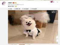 贵州悦博科技有限公司