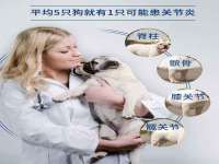 贵州悦博科技有限公司