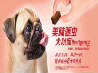 贵州悦博科技有限公司