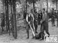 贵州悦博科技有限公司