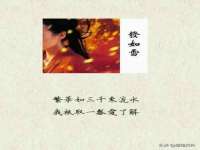 贵州悦博科技有限公司