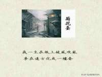 贵州悦博科技有限公司