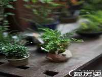 贵州悦博科技有限公司
