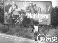 贵州悦博科技有限公司