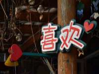 贵州悦博科技有限公司