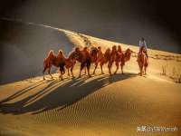 贵州悦博科技有限公司