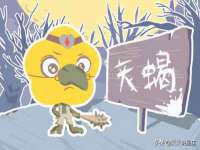 贵州悦博科技有限公司