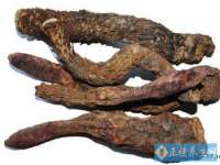贵州悦博科技有限公司