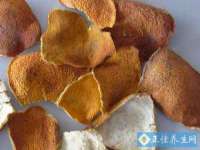 贵州悦博科技有限公司