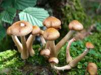 贵州悦博科技有限公司