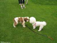 贵州悦博科技有限公司