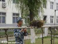 贵州悦博科技有限公司