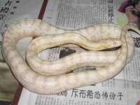 贵州悦博科技有限公司