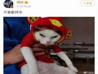 贵州悦博科技有限公司