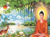 贵州悦博科技有限公司