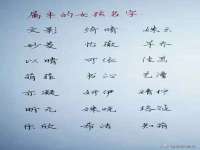 贵州悦博科技有限公司
