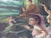 贵州悦博科技有限公司